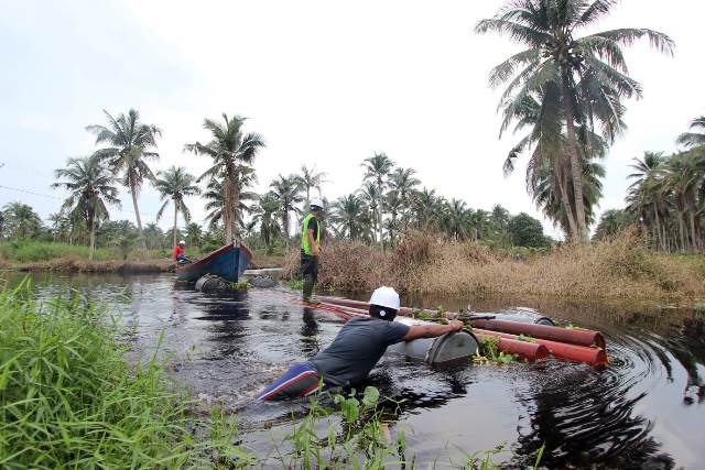 Emban Amanah PMN Rp 5 Triliun, PLN Prioritaskan Program Listrik Desa dan Pengembangan EBT