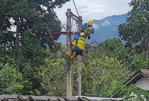Erupsi Gunung Semeru, PLN Terjunkan 124 Personel untuk Percepat Pemulihan Listrik  