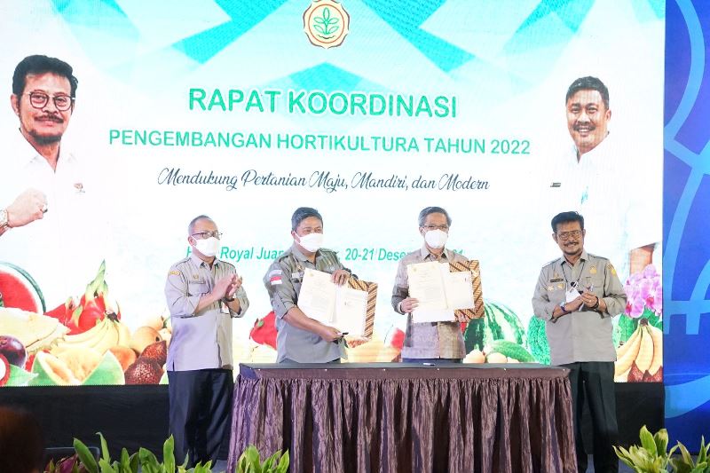 Gandeng Ditjen Hortikultura Kementan, PLN Hadirkan Listrik Andal untuk Electrifying Agriculture  