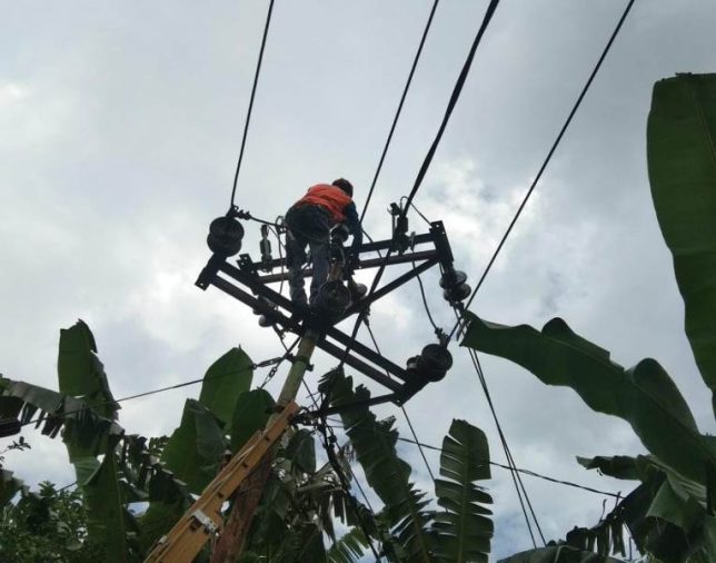 PLN Gerak Cepat Pulihkan Sistem Kelistrikan Flores Usai Gempa Magnitudo 7,4