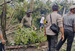 Angin Puting Beliung Porak Porandakan Rumah Warga di Lamtim