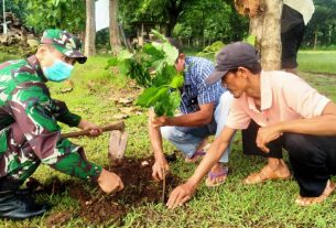 Kodim Bojonegoro Tanam Bibit Kacang Afrika