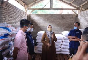 Meminimalisir Kelangkaan Pupuk, Wakil Gubernur Lampung, Chusnunia Monitoring Ketersediaan Pupuk di Lampung Selatan