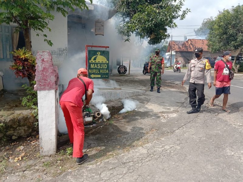 DBD Mengancam Babinsa Langsung Bergerak Dampingi Fogging