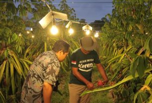 Didukung Listrik PLN, Petani Muda Ini Bawa Pertanian Bali Kian Modern