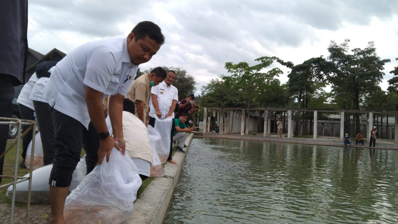 Kolam Islamic Center Tubaba Dihuni Ikan Favorit Raja-Raja