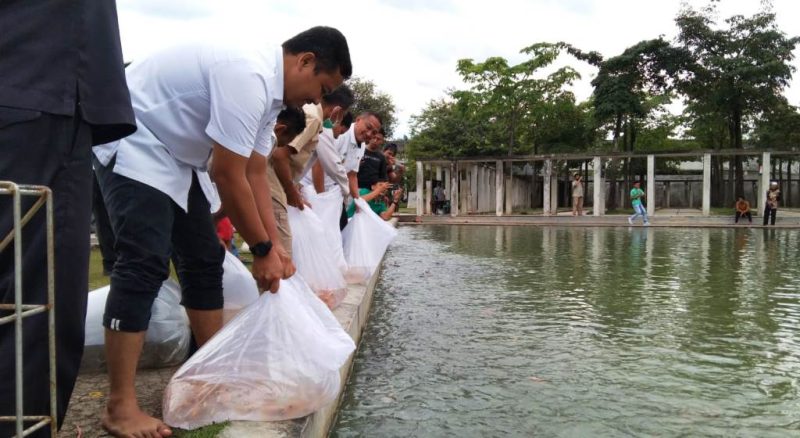 Kolam Islamic Center Tubaba Dihuni Ikan Favorit Raja-Raja