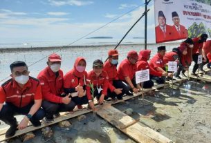 Sudin Pimpin Aksi PDI Perjuangan Lampung Tanam 1000 Mangrove, Serahkan Dana KBR 100 Juta