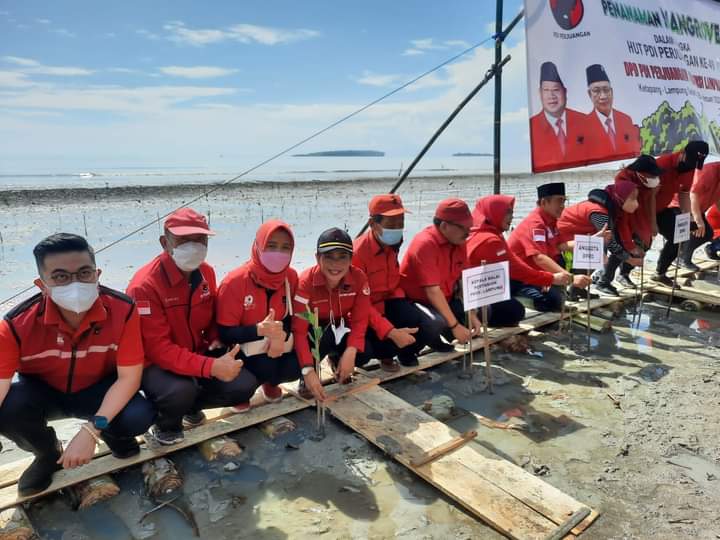 Sudin Pimpin Aksi PDI Perjuangan Lampung Tanam 1000 Mangrove, Serahkan Dana KBR 100 Juta