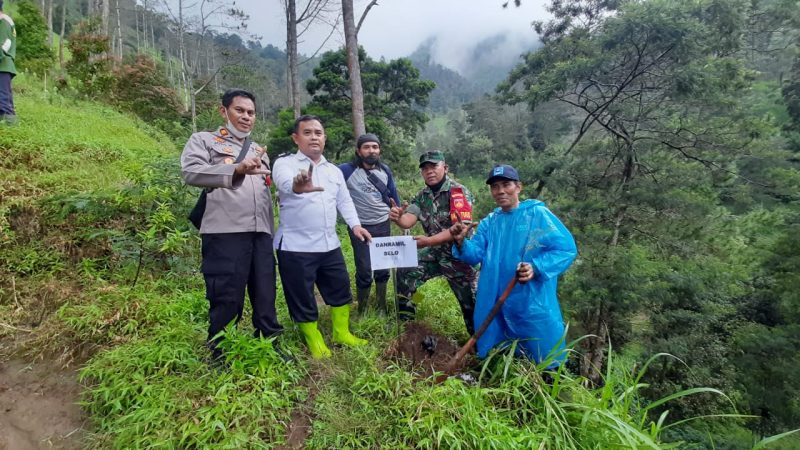 Wujud Melestarikan Alam, Babinsa Selo Dampingi Penghijauan Lereng Merbabu