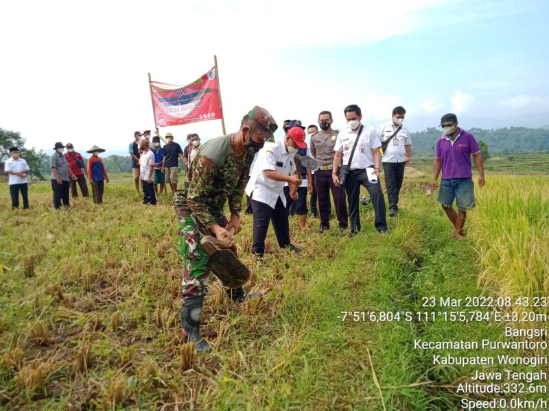 Babinsa Bangsri Hadiri Pelatihan Dan Praktek Tanam Jajar Legowo Kepada Gapoktan