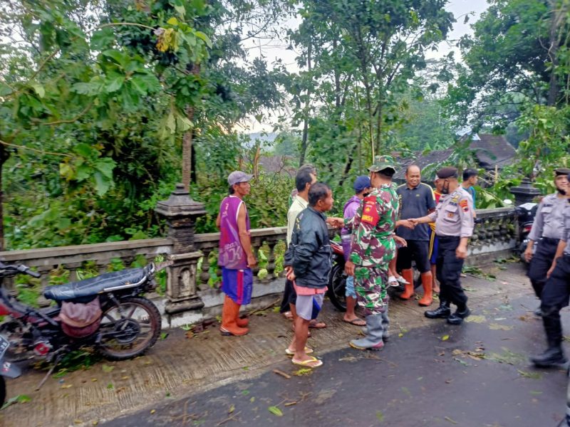 Jalan Tertutup Rumah Rusak Akibat Puting Beliung, Babinsa Sigap Membantu