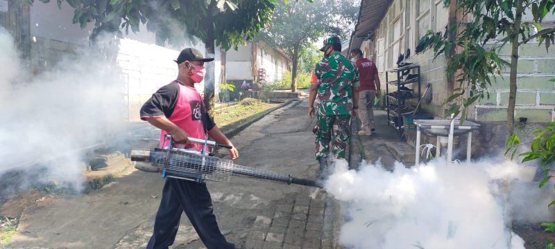 Lagi DBD Mengancam Babinsa Langsung Bergerak Dampingi Fogging
