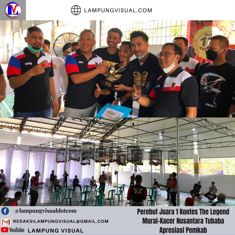 Perebut Juara 1 Kontes The Legend Murai-Kacer Nusantara Tubaba Apresiasi Pemkab