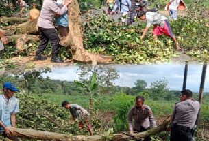Polisi Bersama Warga Bersihkan Pohon Tumbang Di Jalinsum