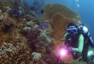 Magen-tegeb', Sosiopreneur Milenial Zaki Senafal Nahkodai Lampung Dive Club