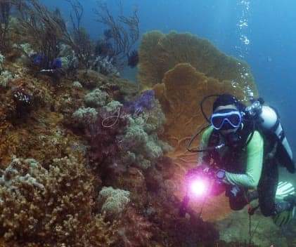 Magen-tegeb', Sosiopreneur Milenial Zaki Senafal Nahkodai Lampung Dive Club