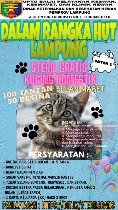 Pemprov Lampung Gelar Steril Kucing Domestik Gratis 