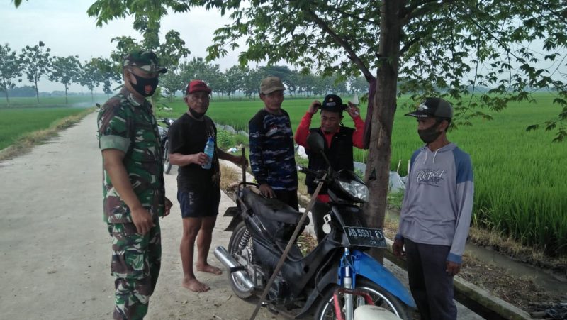 Terus Jalin Komunikasi,Babinsa Duyungan Komsos Dengan Petani