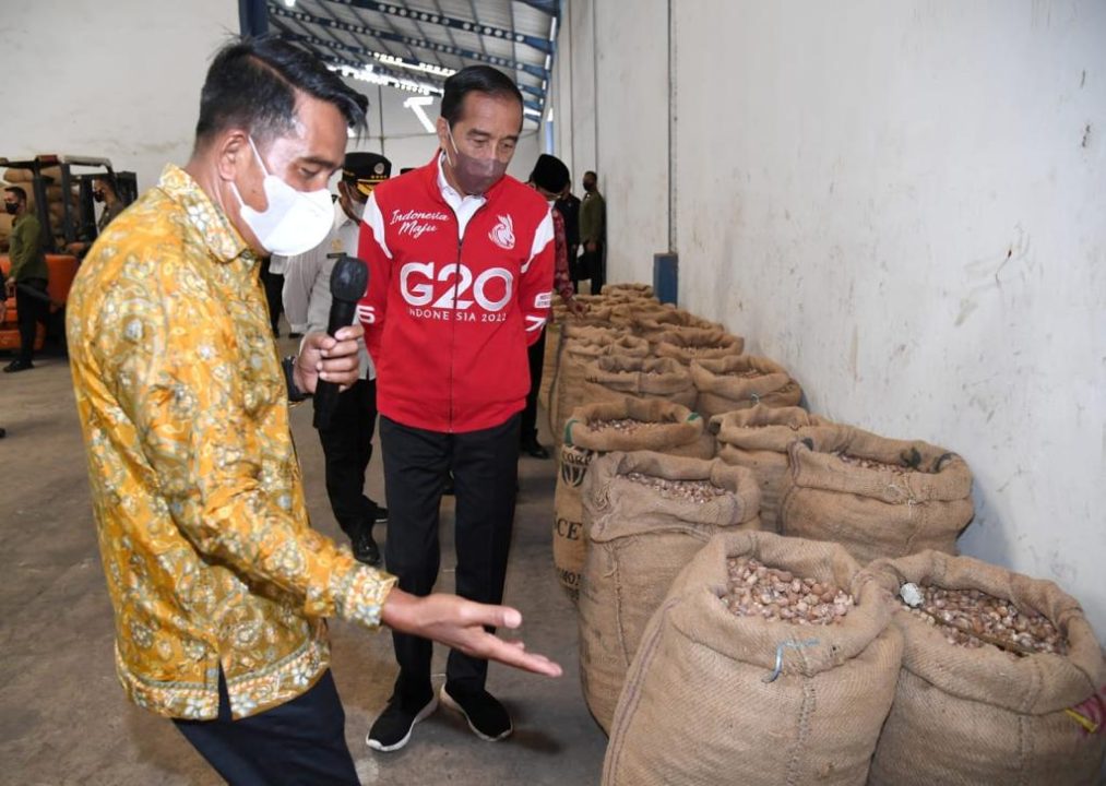 Presiden Jokowi Ingin Tingkatkan Ekspor Biji Pinang, PLN Siap Dukung dengan Listrik Andal