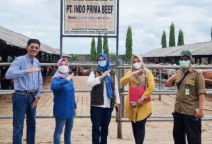 Jelang Idul Fitri 2022, Stok Ketersediaan Daging Sapi Aman