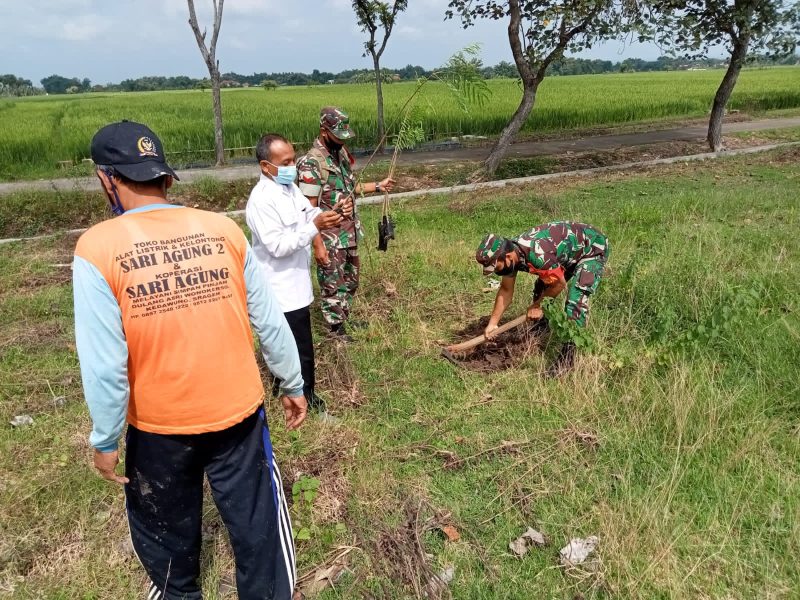 Wujudkan Lingkungan hijau, Babinsa Desa Celep Ajak Warga Lakukan Penghijauan