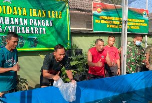 Begini Cara Kodim 0735/Surakarta Dalam Meningkatkan Ketahanan Pangan di Wilayah