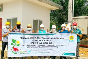 Dukung Iklim Investasi Riau, PLN Penuhi Kebutuhan Listrik Perusahaan Pengolahan Porang