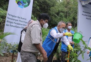 PLN Tanam 1.800 Pohon dan Dorong Pemanfaatan Electrifying Agriculture di Sumatera Barat