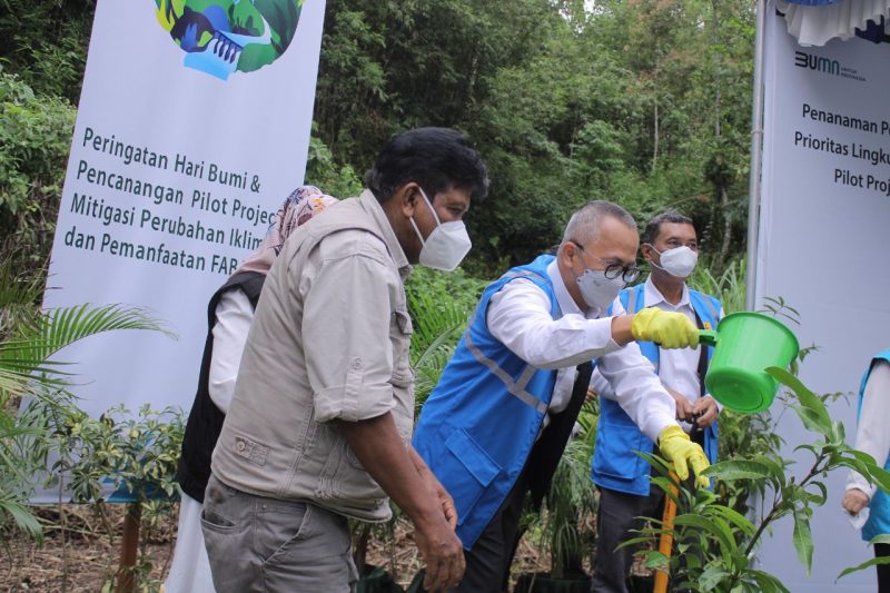 PLN Tanam 1.800 Pohon dan Dorong Pemanfaatan Electrifying Agriculture di Sumatera Barat