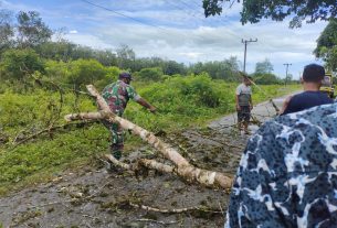 Paska Hujan Deras Yang Disertai Angin Badai, Babinsa Posramil 05/PC Dan Warga Bersihkan Pohon Tumbang