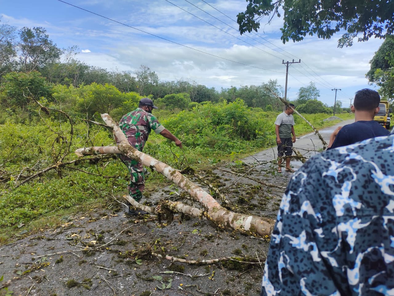 Paska Hujan Deras Yang Disertai Angin Badai, Babinsa Posramil 05/PC Dan Warga Bersihkan Pohon Tumbang