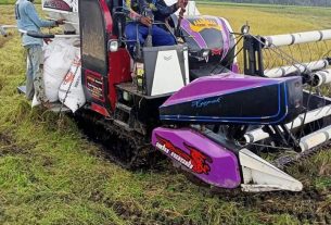 Akses Jalan Memprihatinkan, Petani Tirtalaga Kesulitan Angkut Hasil Panen