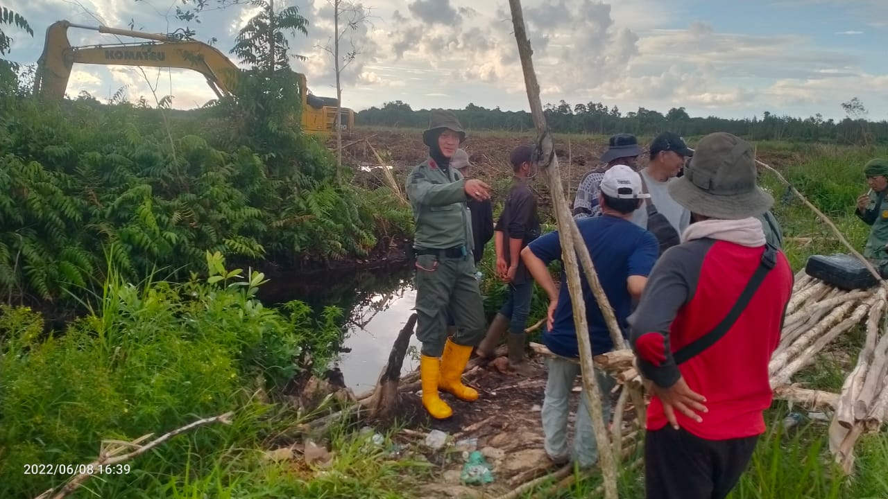 Gerak Cepat Dishut Sumsel Berantas Mafia Tanah Hutan Kawasan