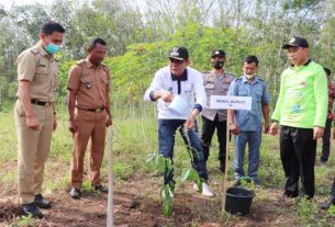 Hari Lingkungan Hidup Sedunia, Ali Rahman Ajak Masyarakat Tanam Pohon