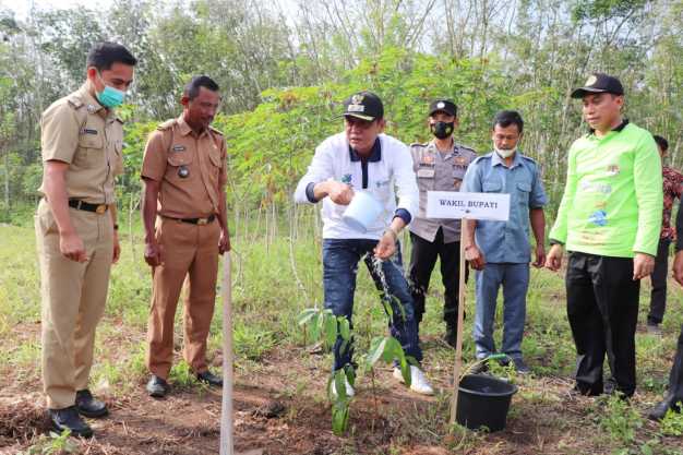 Hari Lingkungan Hidup Sedunia, Ali Rahman Ajak Masyarakat Tanam Pohon