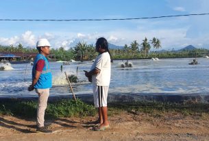 Listrik Andal PLN Tingkatkan Produksi Tambak Udang Terbesar di Singkawang