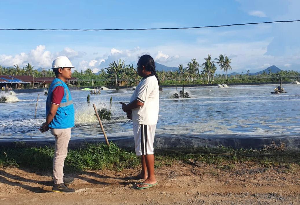 Listrik Andal PLN Tingkatkan Produksi Tambak Udang Terbesar di Singkawang