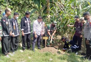 Sebanyak Seribu Bibit Pohon Eucalyptus Hijaukan Pulau Sepatu, Sambungmacan