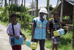 Terangi 198 Desa di Bumi Cenderawasih, Energi Hijau Jadi Andalan PLN