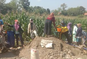 Ada Bidadari Cantik di Lokasi TMMD Reguler Ke 114 Desa Jerukan