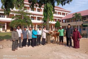 Alumni 92 SMAN 1 Tumijajar Sembelih Hewan Kurban di Sekolahan