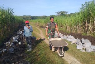 Babinsa Sambi Andil Dalam Pembangunan Talud Irigasi