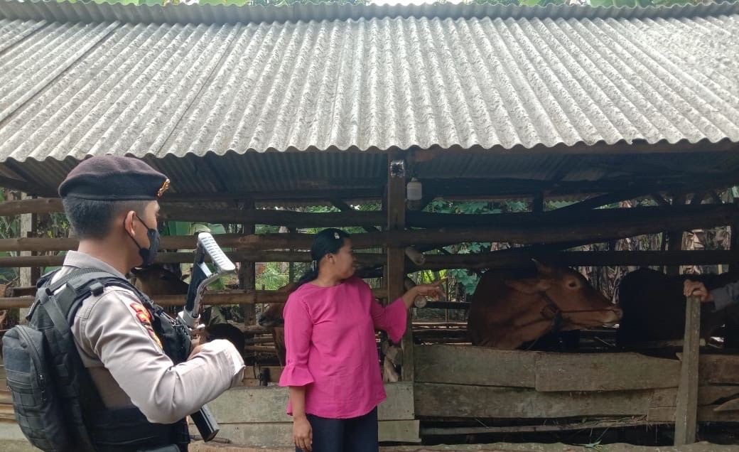 Berikut Imbauan Kasat Samapta Polres Tulang Bawang Kepada Pemilik Hewan Ternak