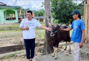 Bupati Mesuji Beri Bantuan Hewan Qurban ke Desa Fajar Asri