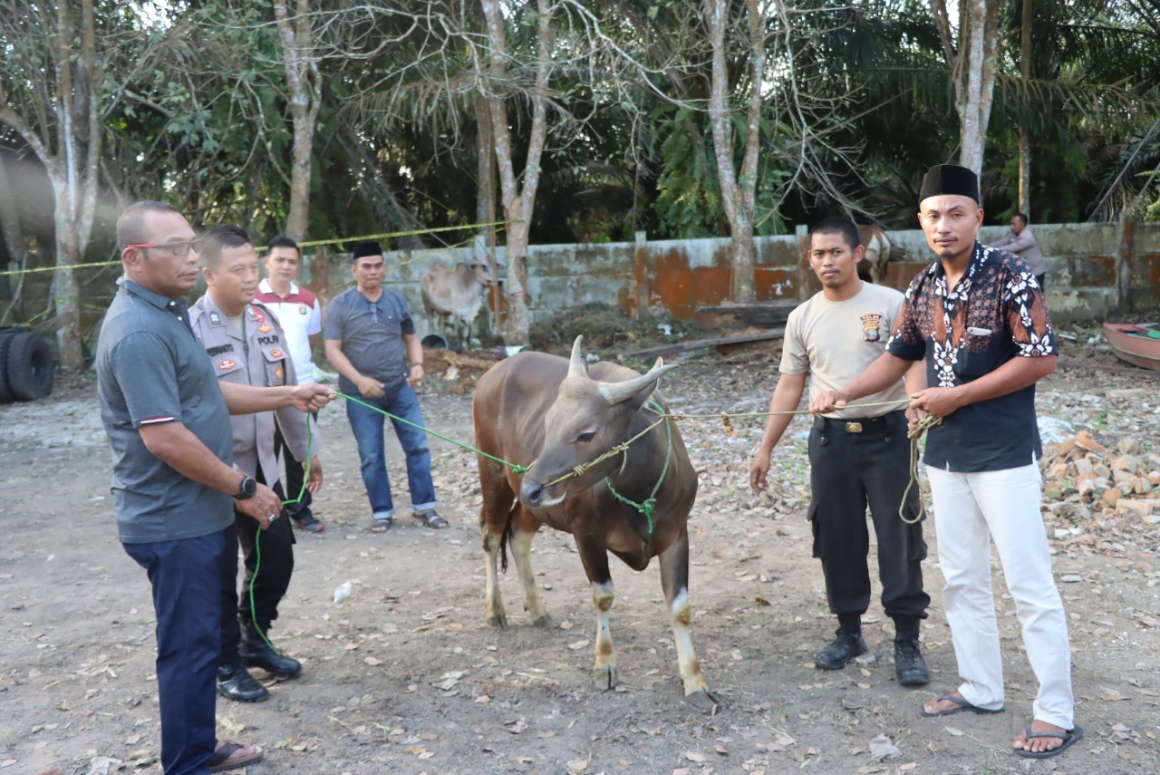 Kapolres Tulang Bawang Serahkan Hewan Kurban