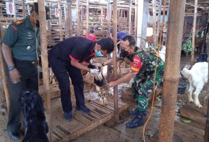 Kodim 0735/Surakarta Bersama Petugas Gabungan Gelar Operasi PMK Di Pasar Hewan