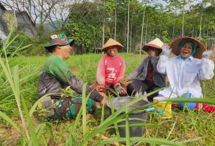 Melalui Komsos, Serda Hadi Wijaya Ciptakan Nuansa Akrab Bersama Petani