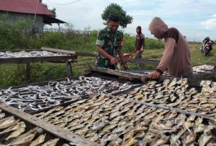 Motivasi Babinsa Bakar Semangat Nelayan Menjemur Ikan Asin Di Pesisir Padang Serahet
