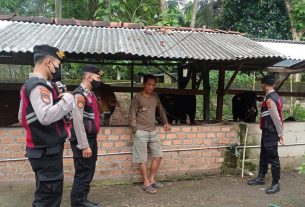 Samapta Polres Tulang Bawang Patroli Dialogis ke Peternakan Sapi, Ini Tujuannya